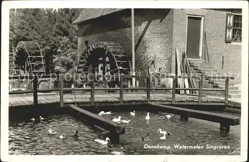 Denekamp Watermolen Singraven Wassermuehle Enten Kat. Dinkelland