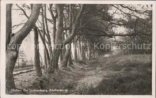 Holten Rijssen Lichtenberg Holterberg Kat. Rijssen Holten