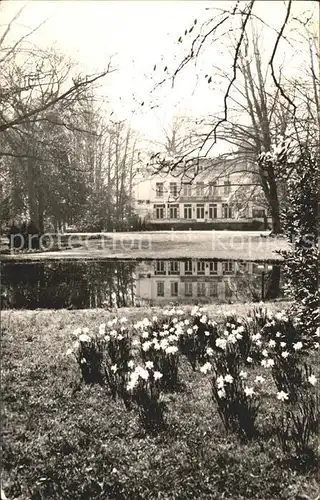 Ulvenhout Schloss Teich Blumen Narzissen