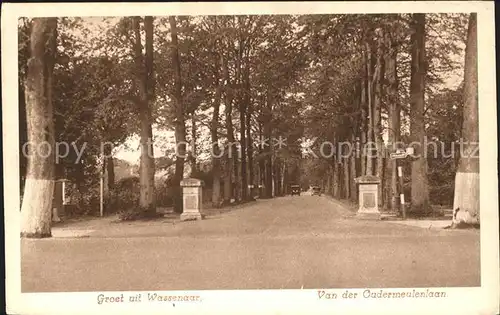 Wassenaar Oudermeulenlaan Kat. Niederlande