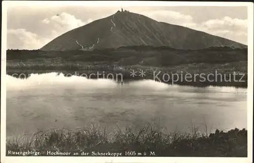 Schneekoppe Snezka Hochmoor  Kat. Riesengebirge Krkonose