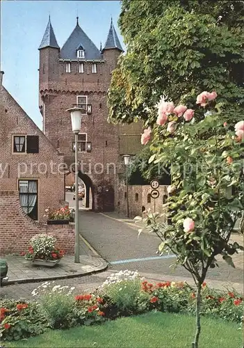 Hattem Zwolle Dijkpoort Kat. Zwolle