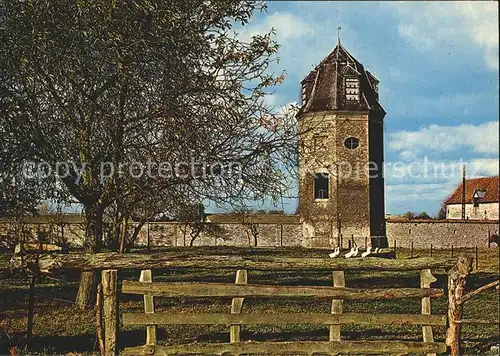 Duiven Duiventoren met zijn duivenhokjes Kat. Duiven