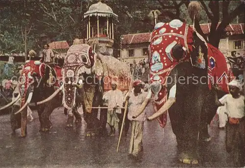 Sri Lanka Kandy Perahera Festprozession Kat. Sri Lanka