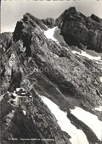 Tierwies mit Saentis Appenzeller Alpen Kat. Tierwies