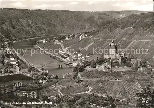 Cochem Mosel Panorama Moseltal Burg Weinberge Kat. Cochem