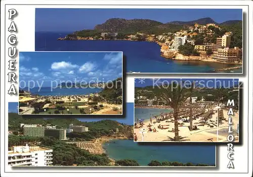 Paguera Mallorca Islas Baleares Panorama Strand Palmen Hotelanlagen Kat. Calvia