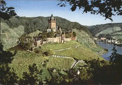 Cochem Mosel Burg Weinberge Kat. Cochem