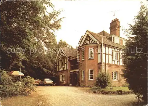 Burley Hampshire Tree House