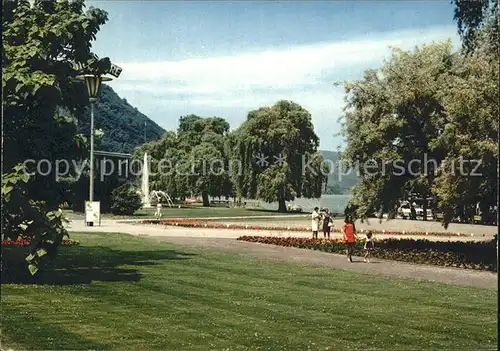 Andernach Rhein Rheinanlagen Kat. Andernach