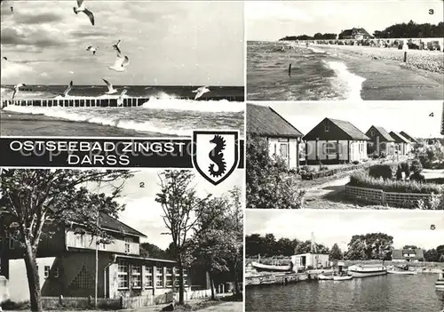 Zingst Ostseebad Moewen am Strand Gaststaette Zum Heidelberger Fass Duenenhaus Wochenendsiedlung Hafen Kat. Zingst Darss