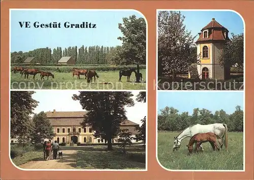 Graditz VE Gestuet Graditz Gutshaus Turm Pferde Kat. Torgau