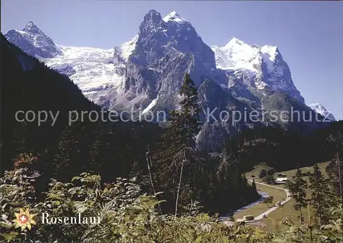 Rosenlaui BE Gschwandtenmaad mit Wetterhorngruppe Kat. Rosenlaui