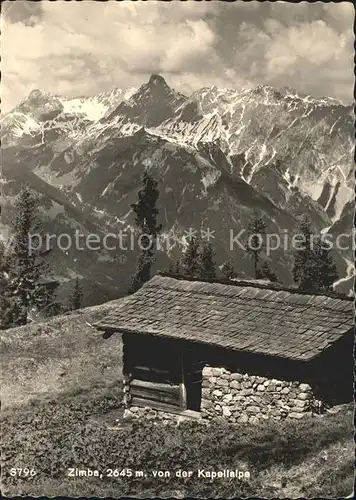 Zimba Raetikon Blick von der Kapellalpe / Oesterreich /