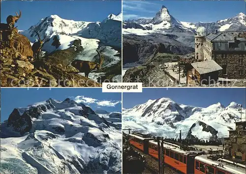 Zermatt VS Gornergrat Steinbruecke Monte Rosa Hotel Gornergrat Bahn Kat. Zermatt