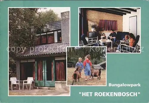 Blitterswijck Bungalowpark Het Roekenbosch Kinder mit Ziegen