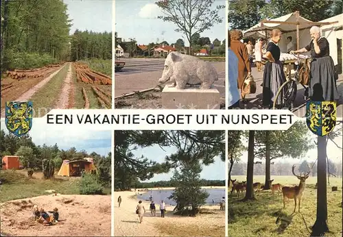 Nunspeet  Kat. Nunspeet