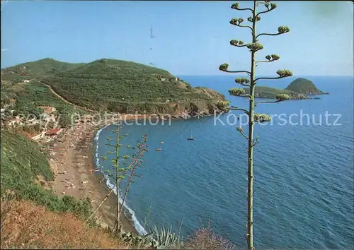 Isola d Elba Cala dell Innamorata Isole Gemini Kat. Italien