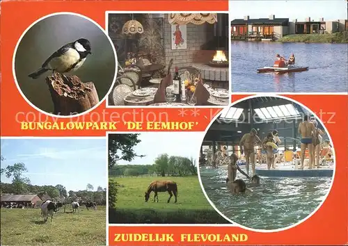 Zuidelijk Flevoland Bungalowpark Eemhof Schwimmbad Tretboot