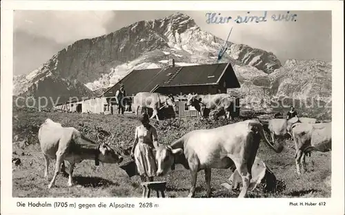 Alpspitze Hochalm  Kat. Garmisch Partenkirchen