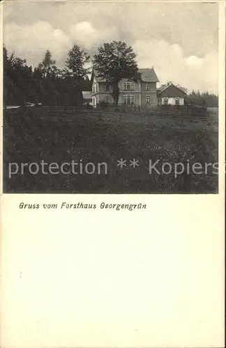 Georgengruen Vogtland Forsthaus Kat. Auerbach