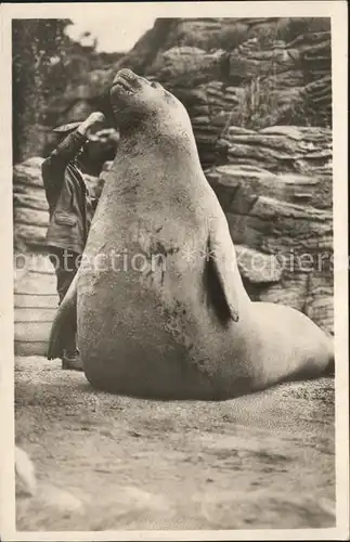 Zoo See Elefant Carl Hagenbecks Tierpark Hamburg Kat. Tiere