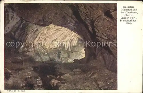 Hoehlen Caves Grottes Dachstein Mammuthoehle Kat. Berge