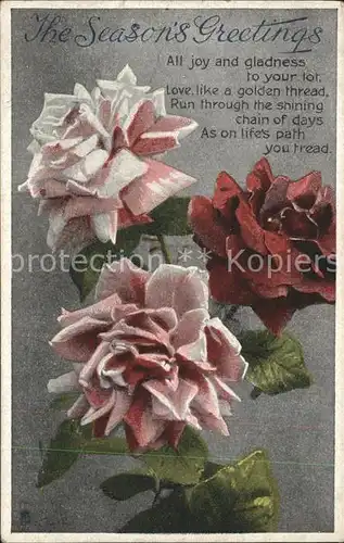 Verlag Tucks Oilette Nr. C 7491 Gem-Postcard Rosen Gedicht  / Verlage /