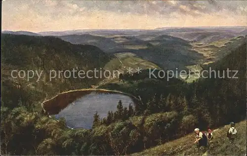 Hoffmann Heinrich Feldberg Seebuck Feldsee Nr. 203  Kat. Kuenstlerkarte