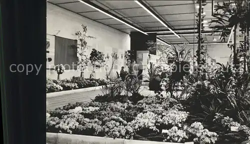 Gartenbauaustellung Erfurt  Halle XIII Blumen und Zierpflanzenbau Kat. Expositions