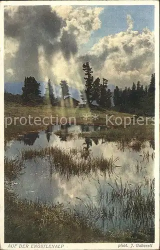 Foto Gaberell J. Nr. 2668 Engstlenalp Baeume Wolken  Kat. Fotografie Schweiz