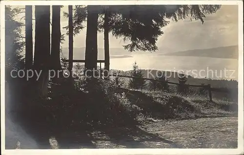 Foto Gaberell J. Nr. 2344 Zuerichsee  Kat. Fotografie Schweiz