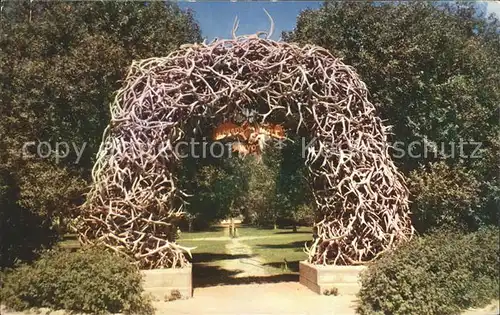 Elch Geweihe Elk Horn Arch Jackson Wyoming  Kat. Tiere