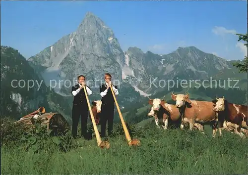 Alphorn Alphornblaeser Kuehe  Kat. Musik