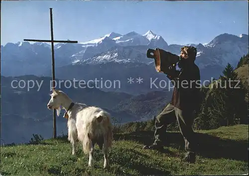 Ziege Betruf Wetterhorngruppe Kat. Tiere