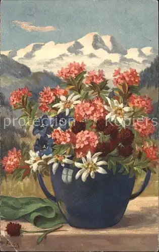 Frueh W. Alpenrose Edelweiss Kat. Kuenstlerkarte