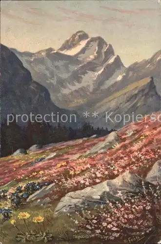 Frueh W. Alpenrosen Primeln Enzian Berge Kat. Kuenstlerkarte