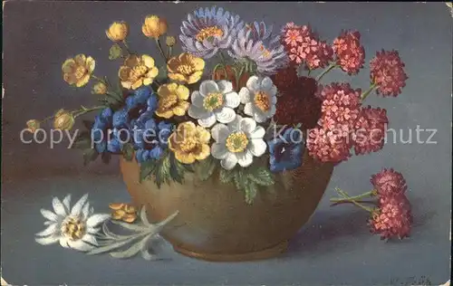 Frueh W. Enzian Anemonen Edelweiss Geranien  Kat. Kuenstlerkarte