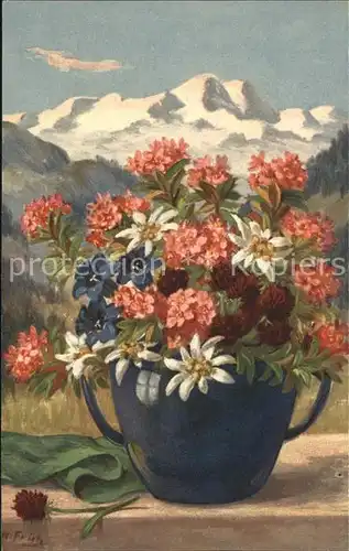 Frueh W. Alpenrosen Enzian Edelweiss Kleeblumen Kat. Kuenstlerkarte