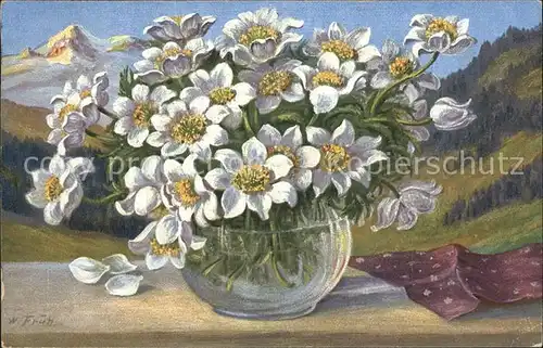 Frueh W. Anemonen  Kat. Kuenstlerkarte