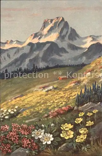 Frueh W. Alpenrosen Anemonen Berge Kat. Kuenstlerkarte