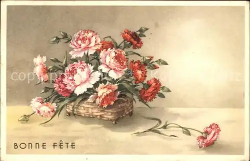 Blumen Nelken Bonne Fete Kat. Pflanzen