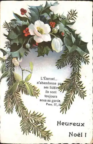 Weihnachten Christrose Stechpalme Mistel Psalm Kat. Greetings