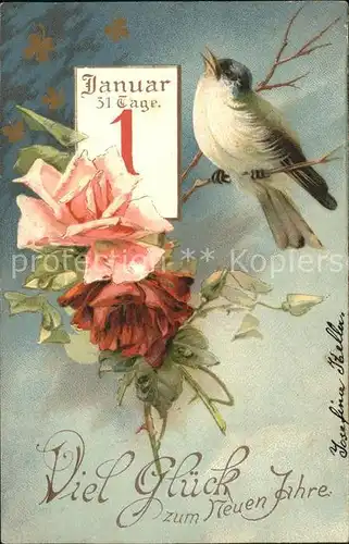 Datumskarte 1. Januar Vogel Rosen Neujahr Litho Kat. Besonderheiten