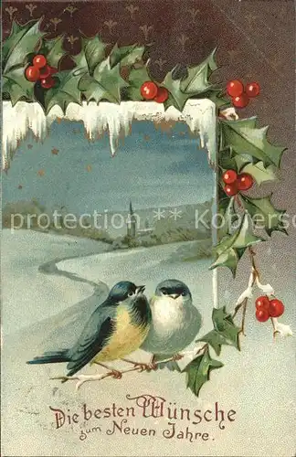 Voegel Neujahr Stechpalme Litho  Kat. Tiere