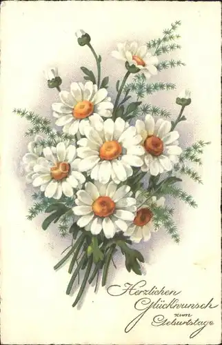 Geburtstag Margeriten Glueckwunsch Litho Kat. Greetings