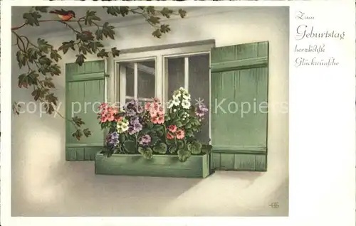 Geburtstag Glueckwunsch Fenster Blumen Vogel Kat. Greetings