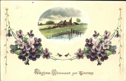 Geburtstag Glueckwunsch Veilchen Litho Kat. Greetings