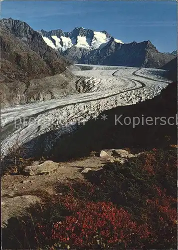 Gletscher Grosser Aletschgletscher Aletschwald Wannenhorn Kat. Berge