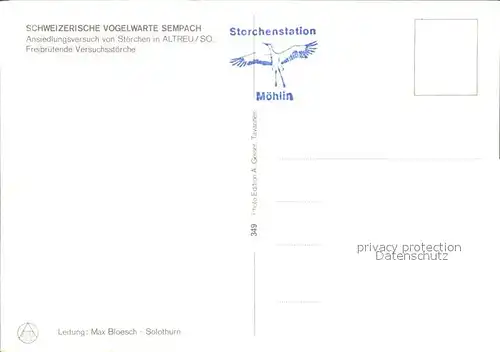 Storch Stoerche Altreu So. Schweizerische Vogelwarte Sempach Kat. Tiere